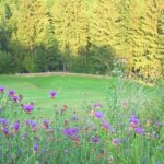 Golf Eldorado - Bahn 10