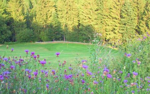 Golf Eldorado - Bahn 10